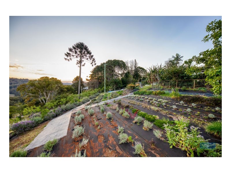 26 Kondalilla Falls Road, Montville QLD 4560
