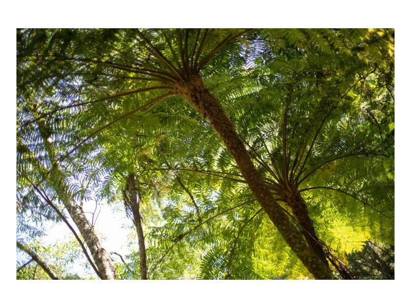 North Maleny QLD 4552