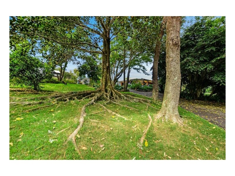 163 North Maleny Road, North Maleny QLD 4552