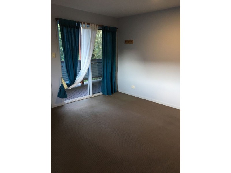 3 Jabiru Court, Maleny QLD 4552