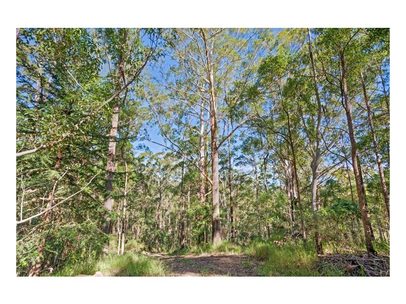 268 Doyle Road, Reesville QLD 4552