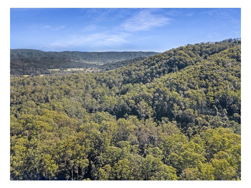 268 Doyle Road, Reesville QLD 4552
