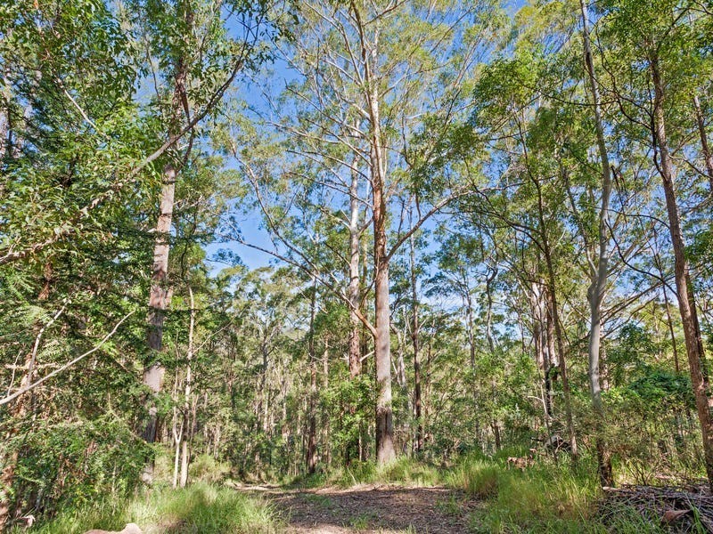 268 Doyle Road, Reesville QLD 4552