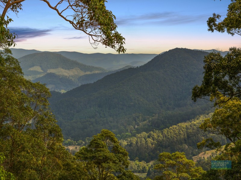 74 Mapleton Falls Road, Mapleton QLD 4560