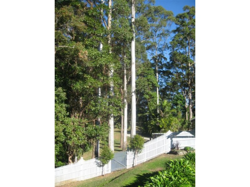 481 Reesville Road, Maleny QLD 4552