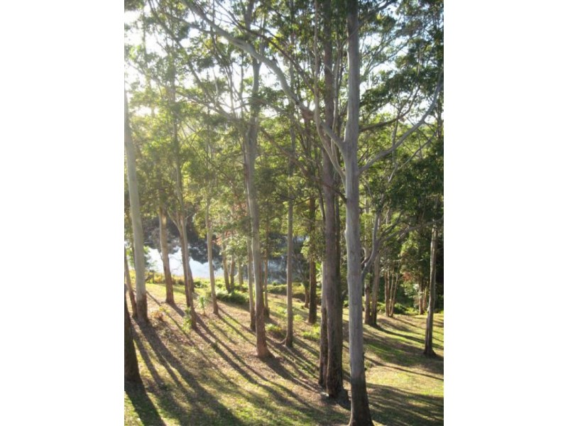 481 Reesville Road, Maleny QLD 4552