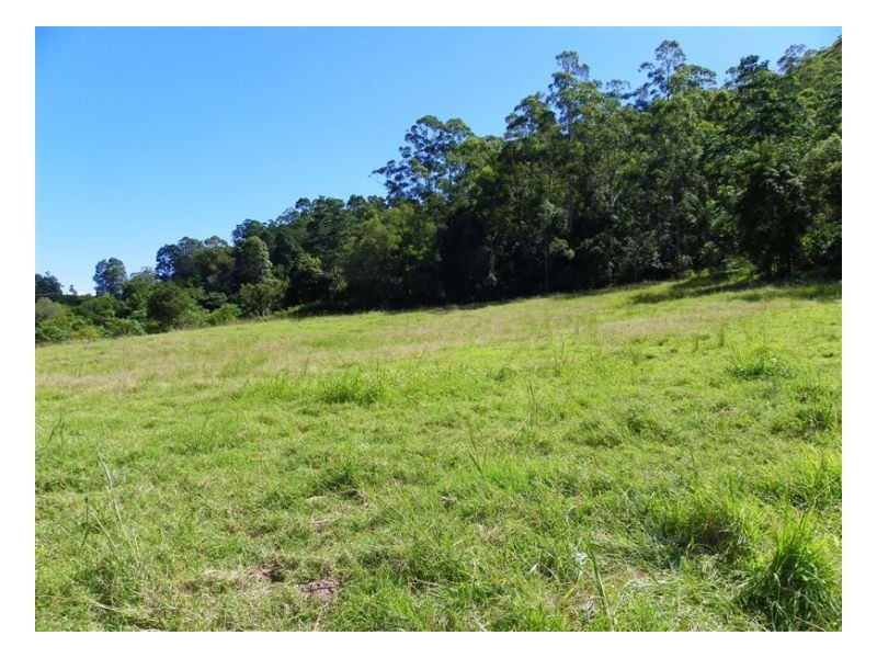 301 Harper Creek Road, Maleny QLD 4552