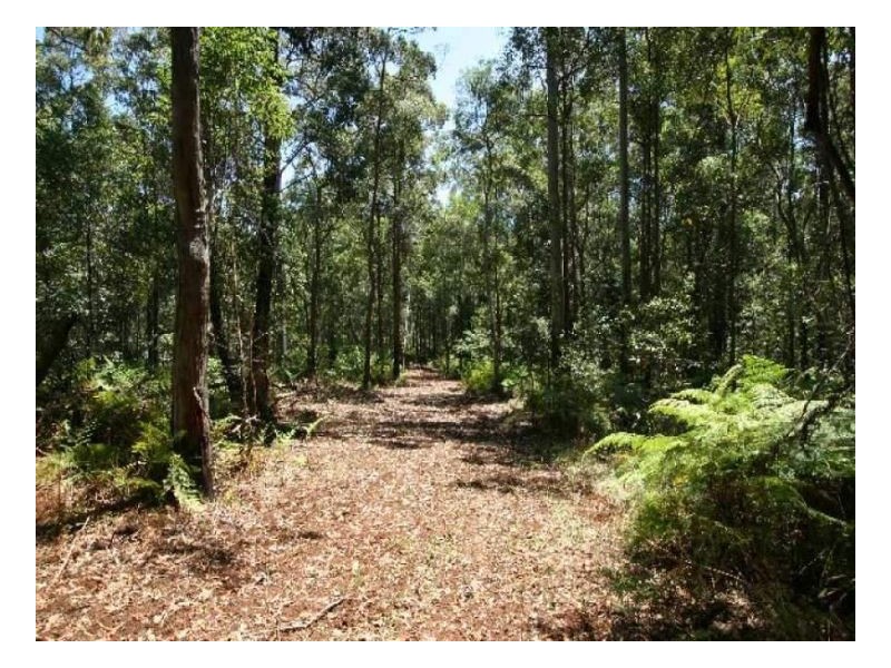 301 Harper Creek Road, Maleny QLD 4552