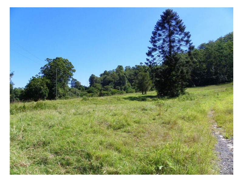 301 Harper Creek Road, Maleny QLD 4552