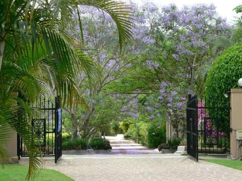 Pest control in Cedarton