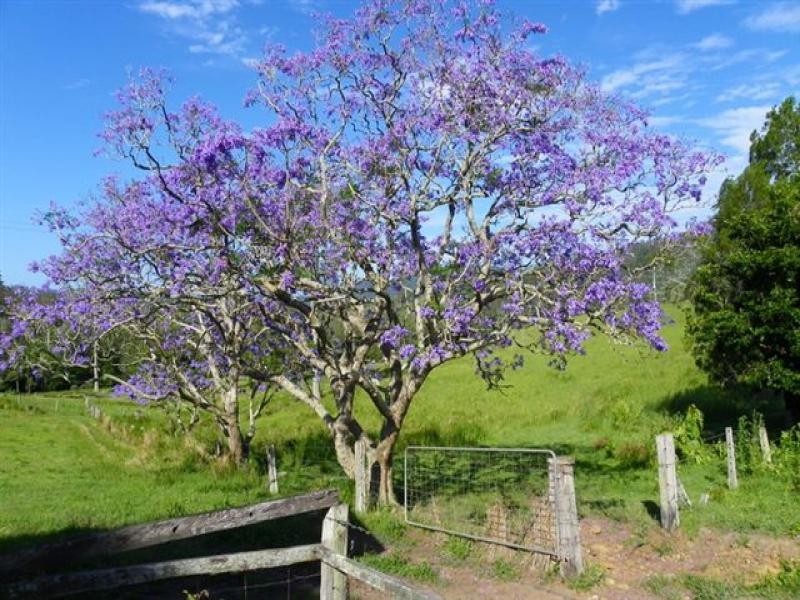 Lot 6 Aherns Road, Maleny QLD 4552