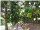 Maleny QLD 4552