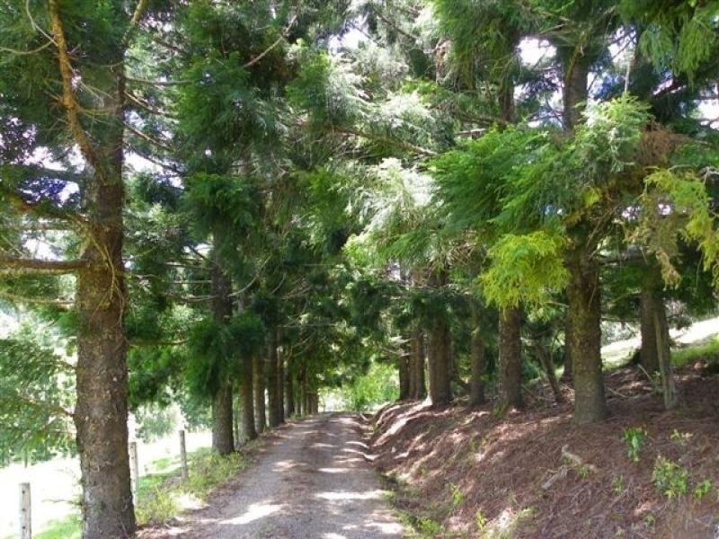 Maleny QLD 4552