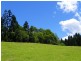 Maleny QLD 4552