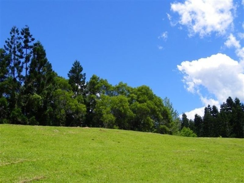 Maleny QLD 4552