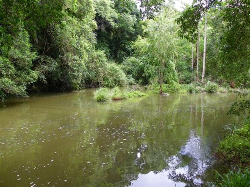 Maleny QLD 4552