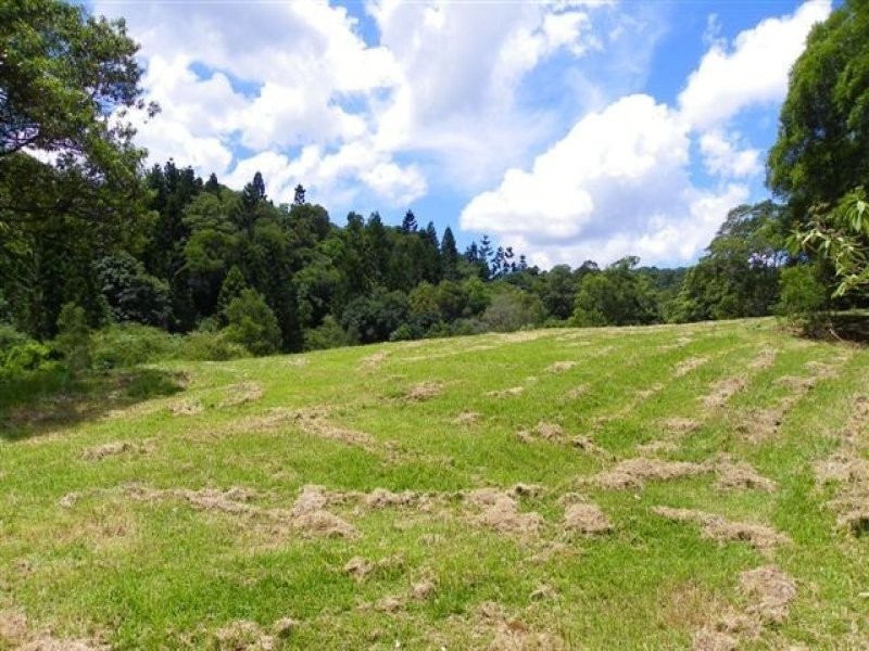 Maleny QLD 4552