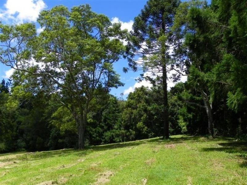 Maleny QLD 4552