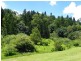 Maleny QLD 4552