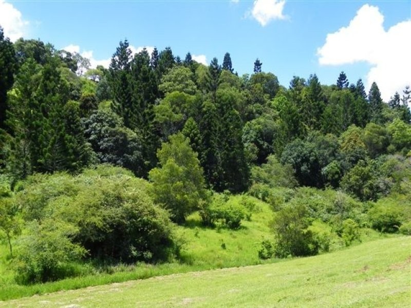 Maleny QLD 4552