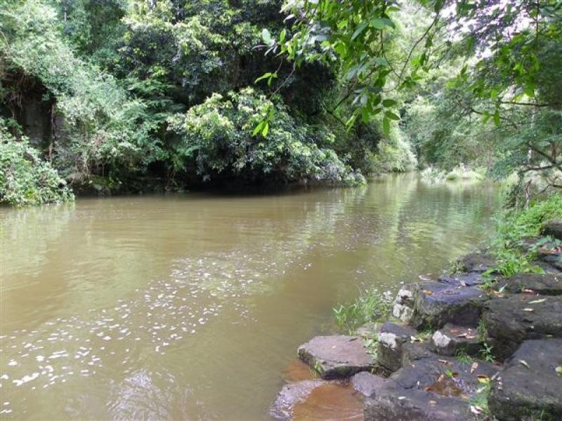 Maleny QLD 4552