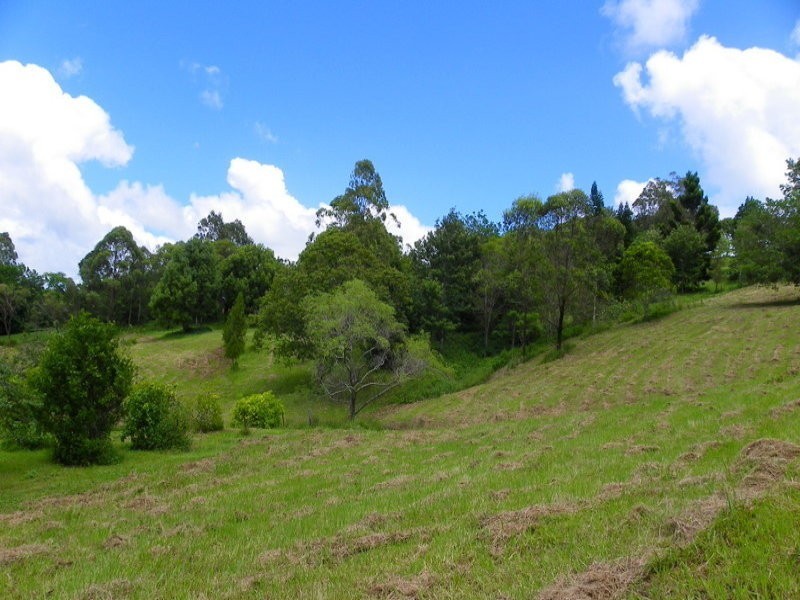 Witta QLD 4552