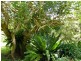 Witta QLD 4552