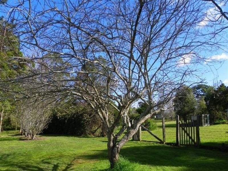 53 McCarthy Road, Maleny QLD 4552