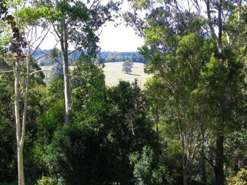 16 Avocado Lane, Maleny QLD 4552