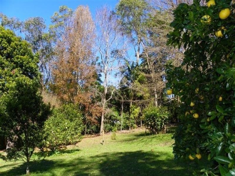 16 Avocado Lane, Maleny QLD 4552