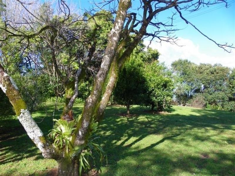 295 Maleny Stanley River Road, Maleny QLD 4552
