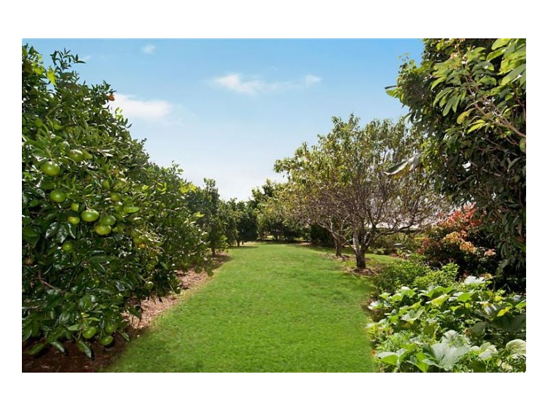 8 Lansdowne Rise, Maleny QLD 4552