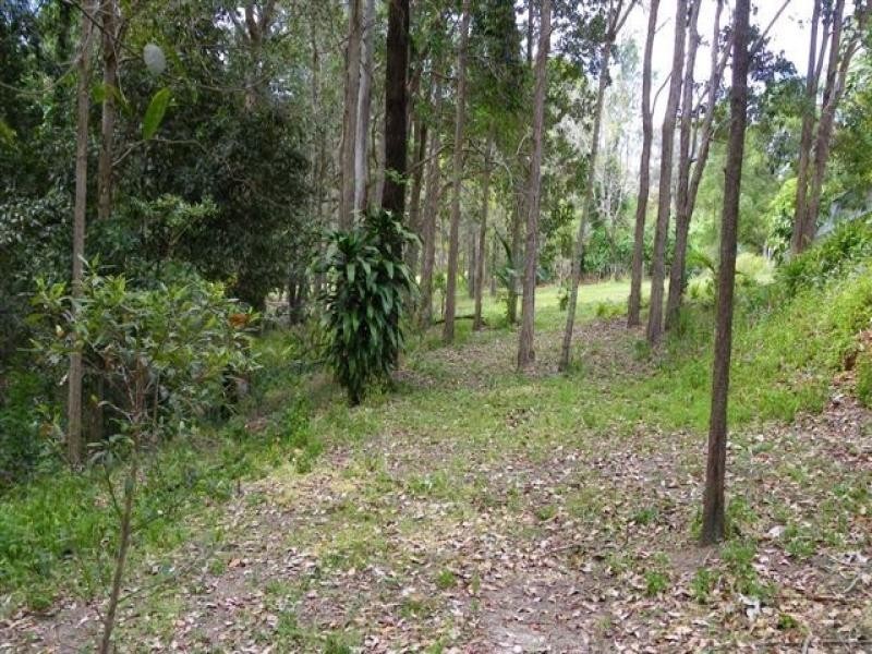 48 Appaloosa Drive, Maleny QLD 4552