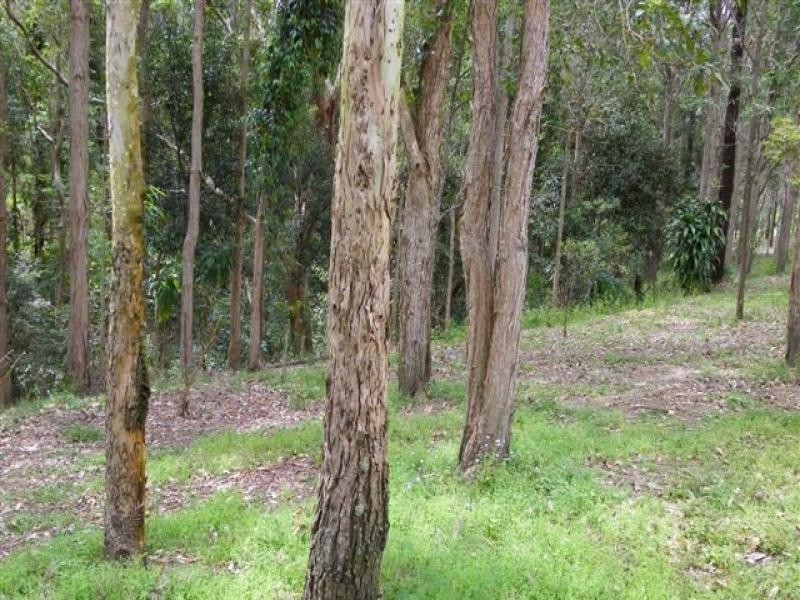 48 Appaloosa Drive, Maleny QLD 4552