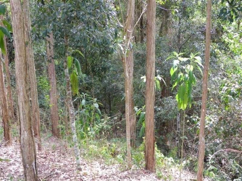 48 Appaloosa Drive, Maleny QLD 4552