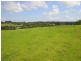 Maleny QLD 4552