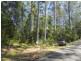 Bellthorpe QLD 4514