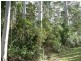 Bellthorpe QLD 4514