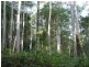 Bellthorpe QLD 4514