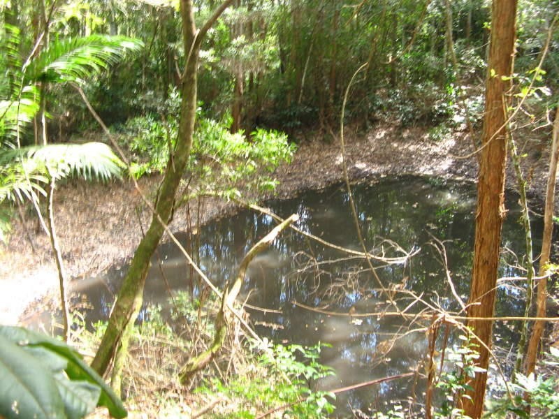 Bellthorpe QLD 4514