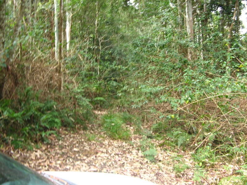 Bellthorpe QLD 4514
