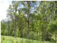 Conondale QLD 4552