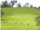 Conondale QLD 4552