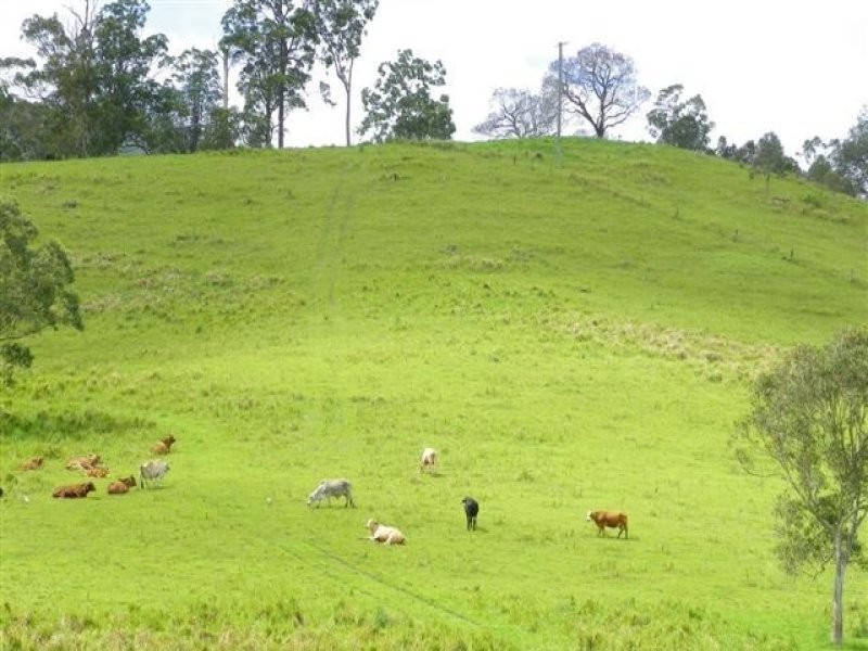 Conondale QLD 4552