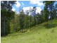 Conondale QLD 4552
