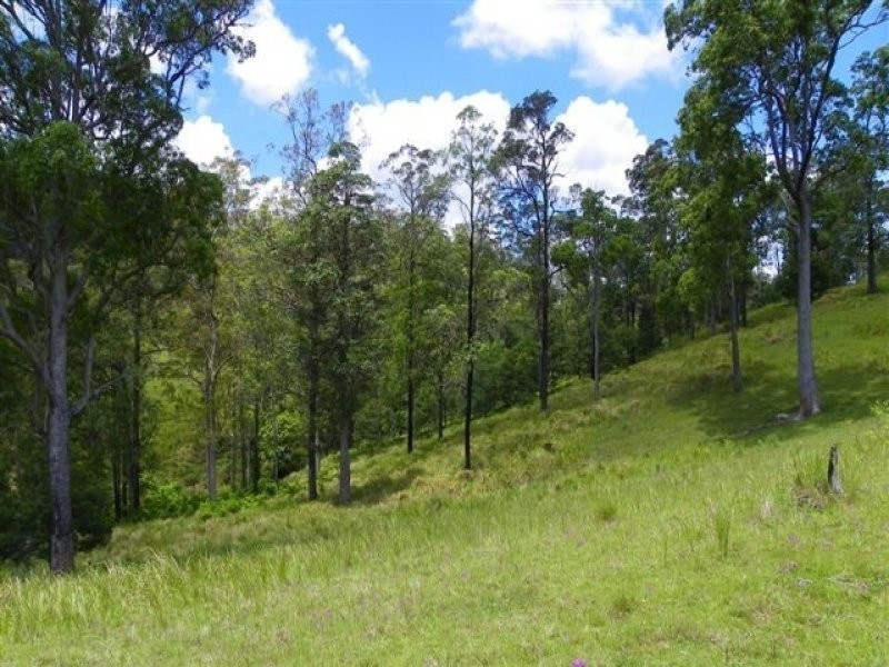 Conondale QLD 4552
