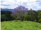 Conondale QLD 4552
