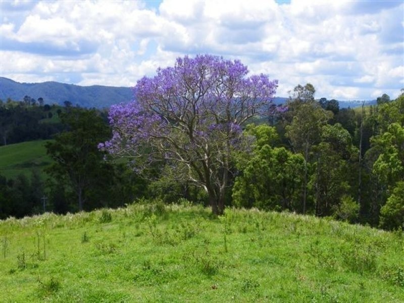 Conondale QLD 4552