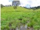 Conondale QLD 4552