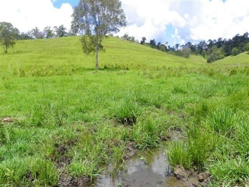 Conondale QLD 4552